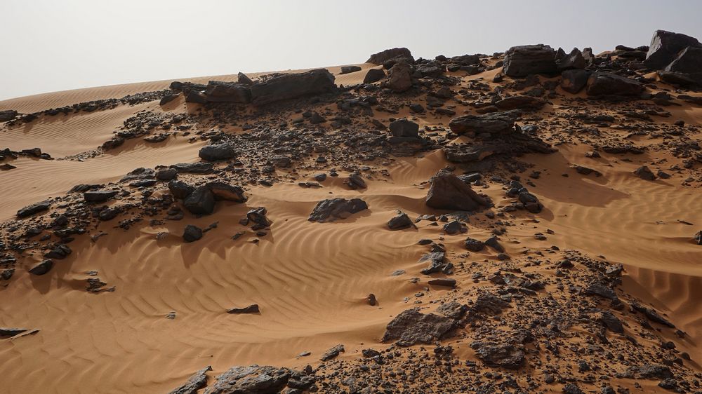 Судан и Египет планируют сотрудничество в сфере добычи полезных ископаемых